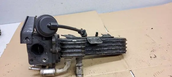 Volkswagen Golf IV EGR valve 03G131063E 192407018
