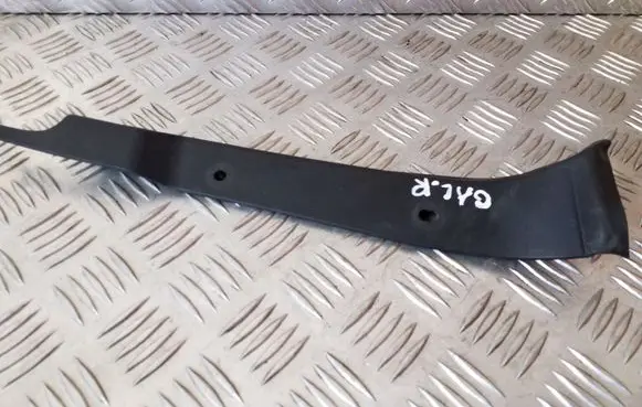 Rear/tail light trim molding