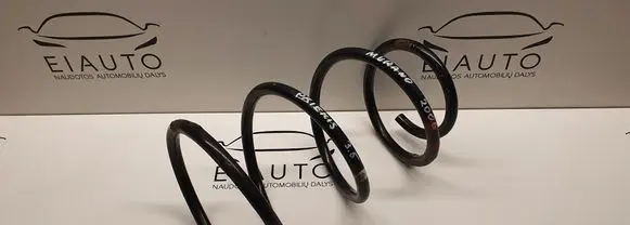 Front coil spring