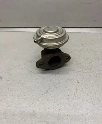 EGR valve
