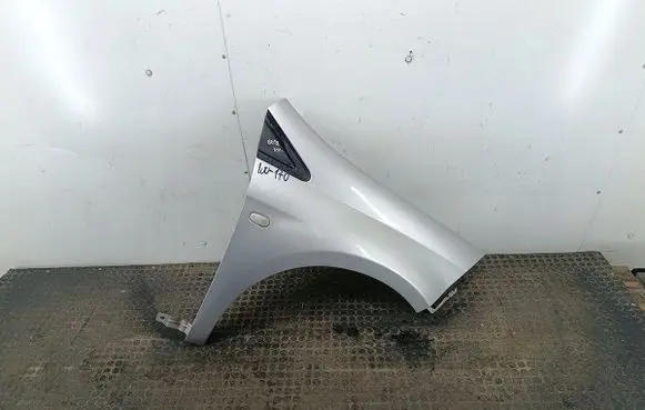 Fiat Bravo Fender 