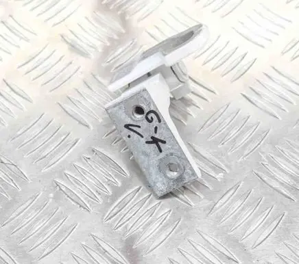 Rear door lower hinge