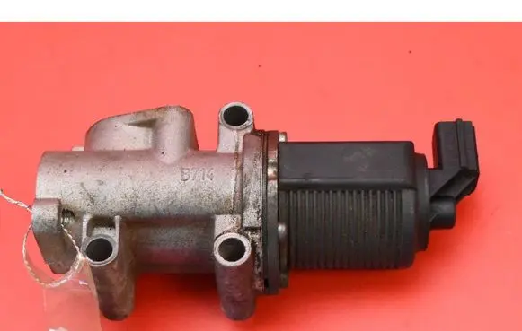 Opel Vectra C EGR valve 50024005