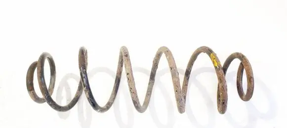 Rear coil spring