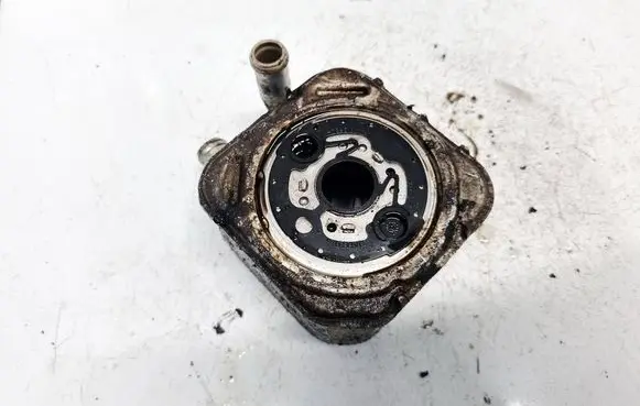 Audi A4 S4 B6 8E 8H Engine oil radiator 