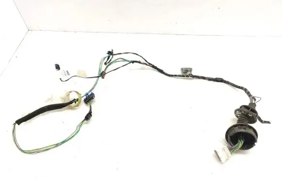 Citroen C3 Pluriel Front door wiring loom 9650014680