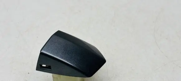 Audi Q8 e-tron Rear door handle cover 4M8837879