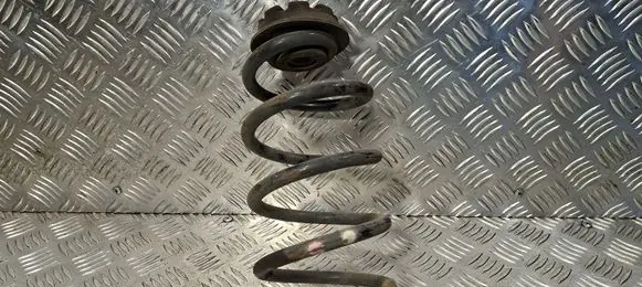 Rear coil spring