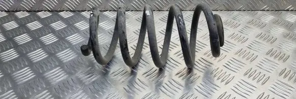 Renault Zoe Rear coil spring