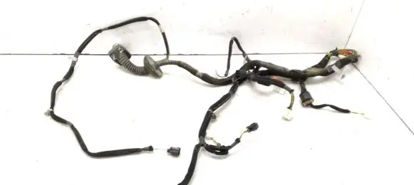 KIA Sportage Front door wiring loom 916001F170