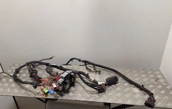 Porsche Cayenne (92A) Other wiring loom 7P5971072B