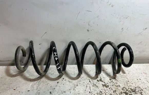 Toyota C-HR I Rear coil spring