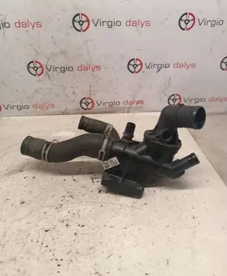 Thermostat/thermostat housing