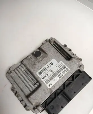 KIA Rio Engine control unit/module 391012A616 0281015461