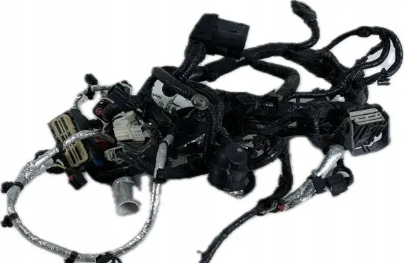 Chrysler Pacifica Other wiring loom T625F1649G4459