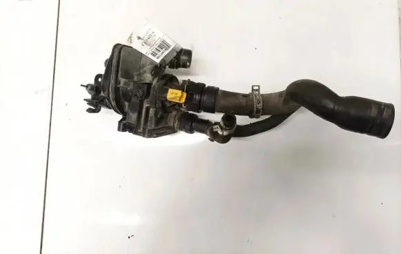 Opel Crossland X Engine coolant pipe/hose 9807198480