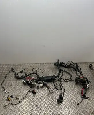 Jaguar I-Pace Other wiring loom J9D314A005ZE J9D39137 21022019