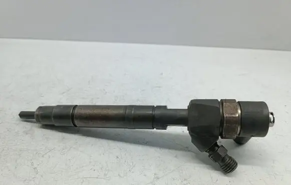 Mercedes-Benz S W220 Fuel injector 0445110095