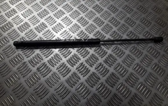 Tailgate/trunk strut/damper