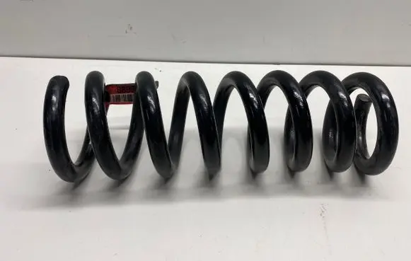Dodge Charger Rear coil spring 05168899AC