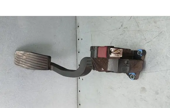 Fiat Punto (199) Accelerator pedal position sensor 55702020