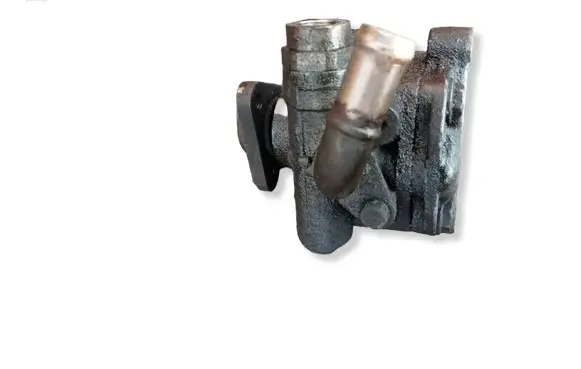 Volkswagen PASSAT B5.5 Power steering pump 0000
