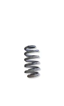Audi A6 S6 C6 4F Rear coil spring 