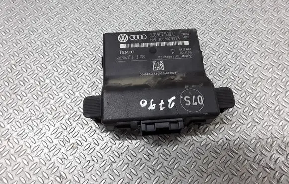 Volkswagen PASSAT B6 Gateway control module 3C0907530C