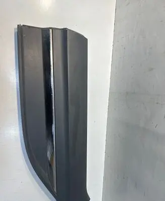 Renault Koleos II Rear door trim (molding) 808207885R
