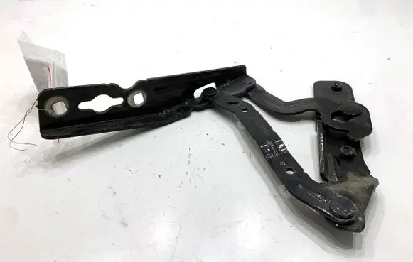 Ford Ecosport Engine bonnet/hood hinges CN1516800CE