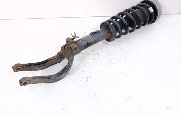 BMW X5M E70 Front shock absorber/damper 6781918
