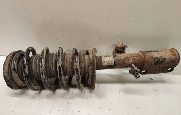 Front shock absorber/damper