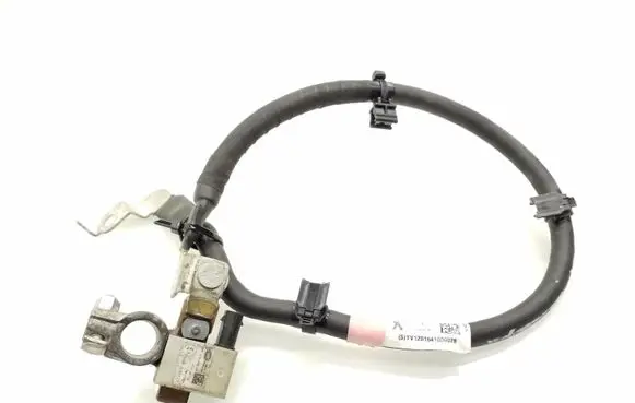 Tesla Model X Negative earth cable (battery) 103688400F E110R036177