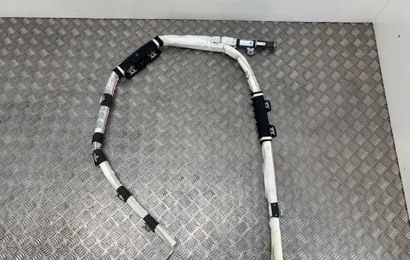 KIA Sorento Roof airbag 85020C5000