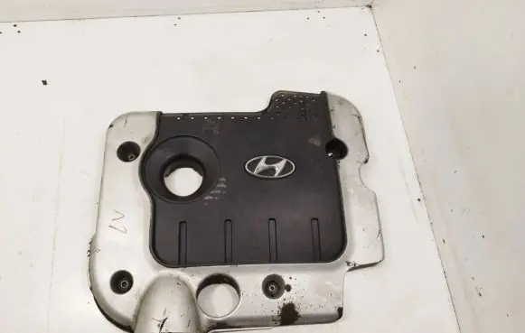 Hyundai Santa Fe Engine cover (trim)