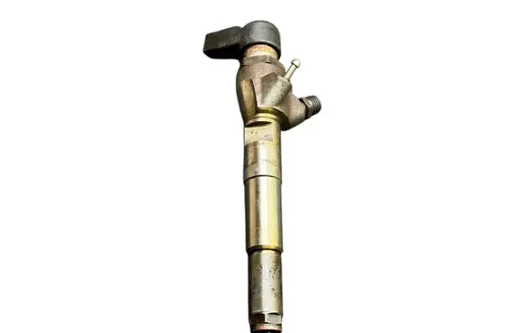 Nissan Qashqai Fuel injector H8200704191 166008052R