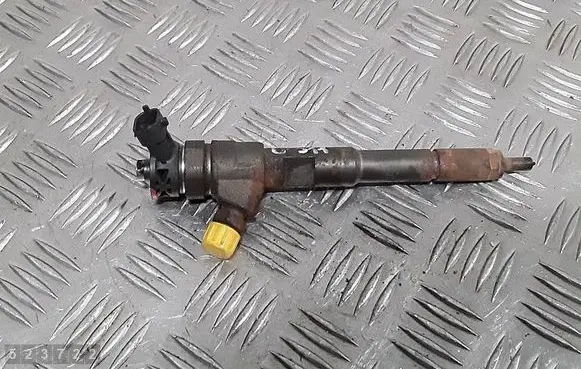 Renault Kangoo II Fuel injector 0445110485 H8201108033