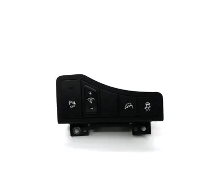 Traction control (ASR) switch