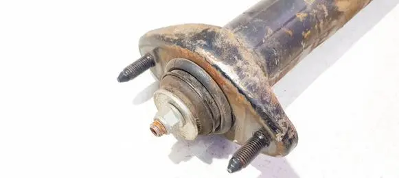 Coil spring mount