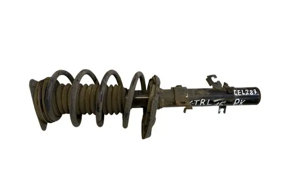 Nissan X-Trail T32 Front shock absorber with coil spring 543034CB1E