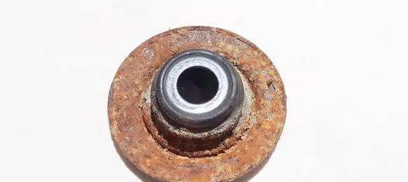 Coil spring mount