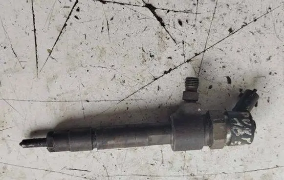 Fiat Punto (188) Fuel injector 0445110019