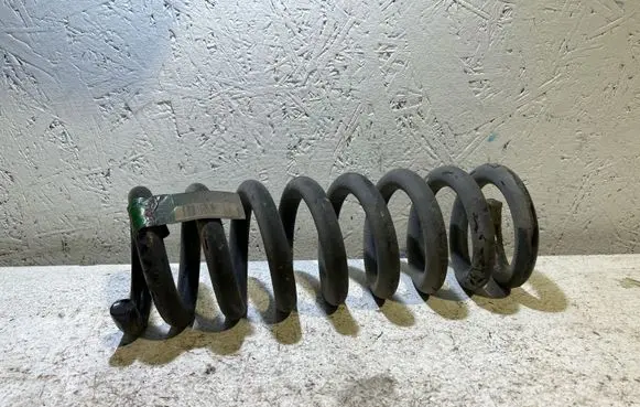 Dodge Charger Rear coil spring