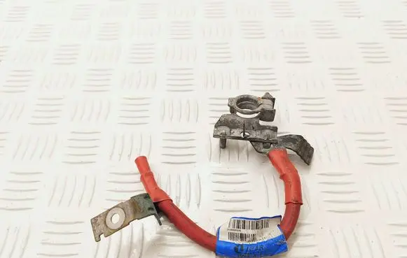 Opel Vivaro Positive cable (battery) 243866500R