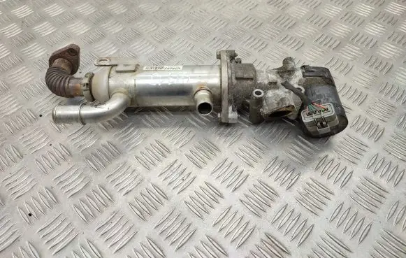 Citroen C5 EGR valve 9686916780