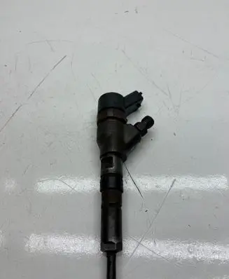 Peugeot 206 Fuel injector 0445110008