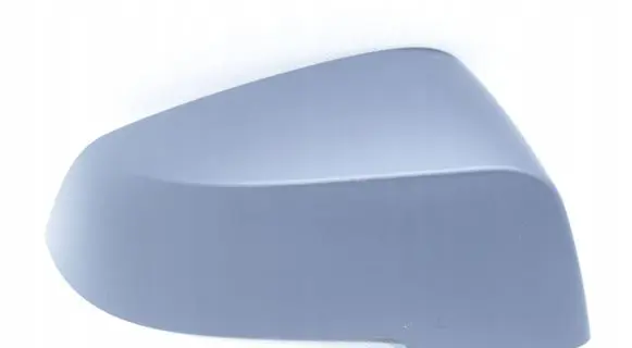 BMW 5 F10 F11 Plastic wing mirror trim cover 7308684