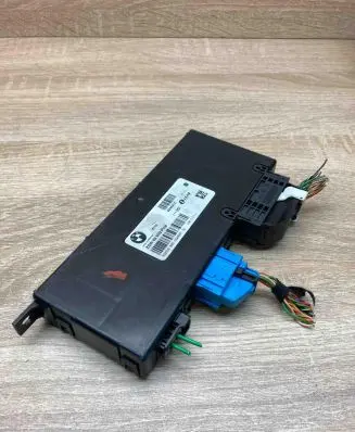 BMW 5 F10 F11 Light module LCM 9243212 111362 WithPlug