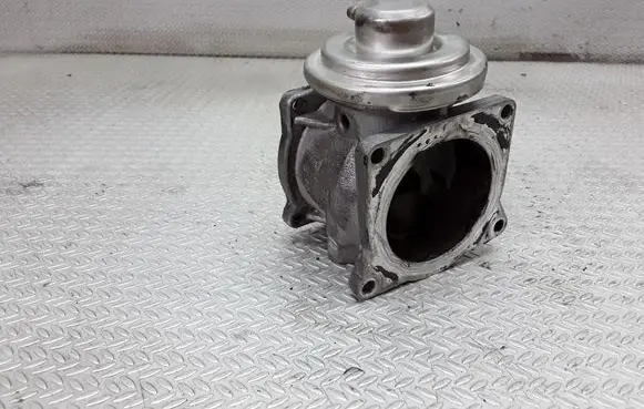 Volkswagen Phaeton EGR valve 07Z131501A