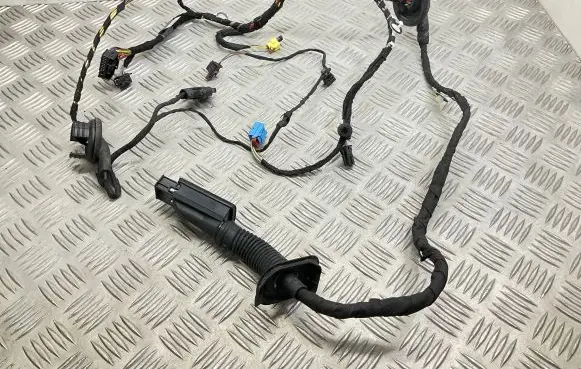 Front door wiring loom
